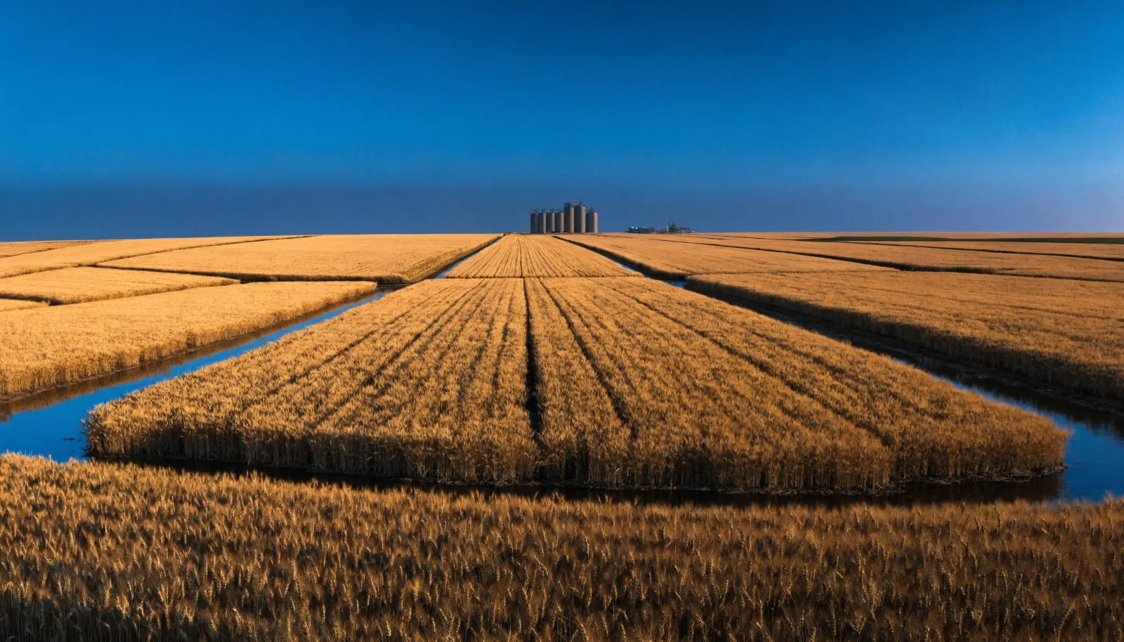 Crops export